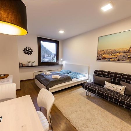 Appartement Sportwerk Гестлинг-на-Ибсе Экстерьер фото