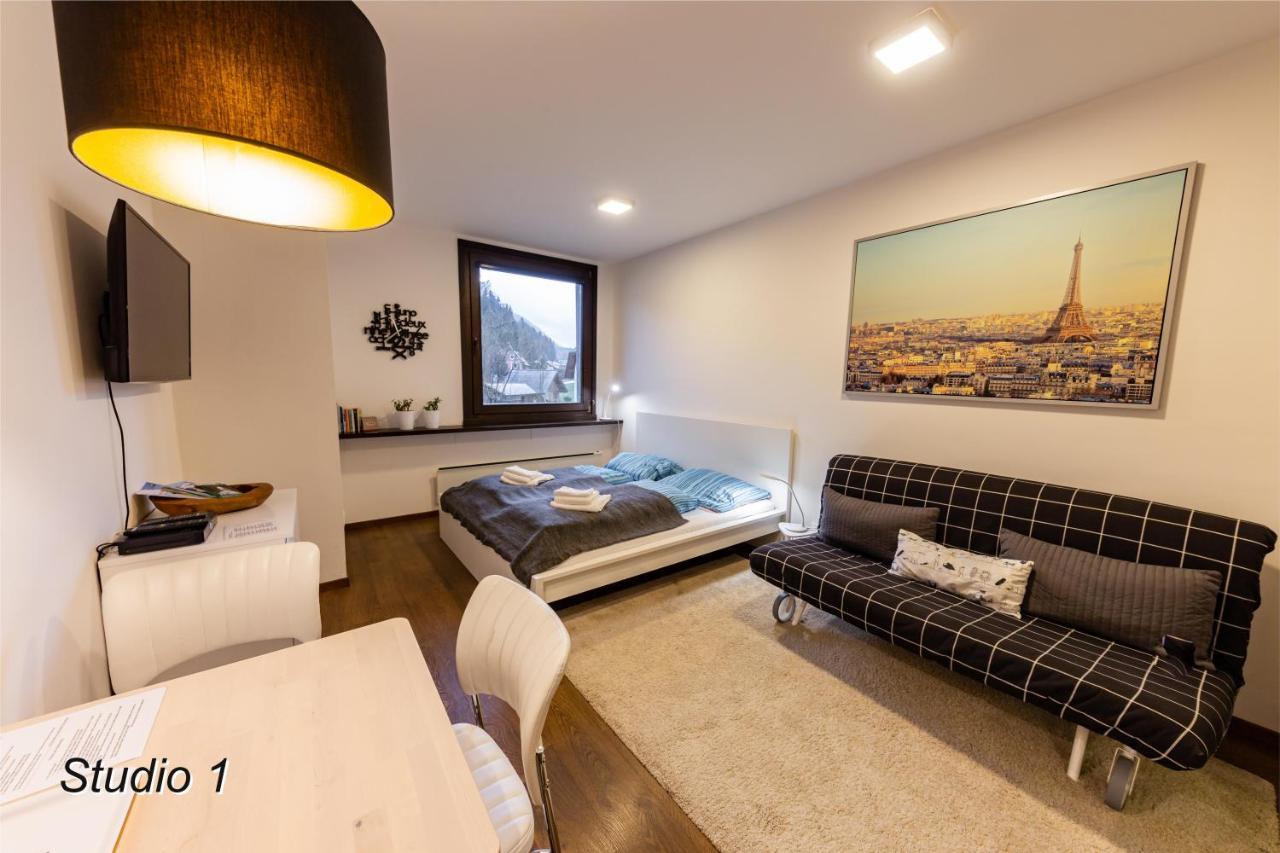 Appartement Sportwerk Гестлинг-на-Ибсе Экстерьер фото